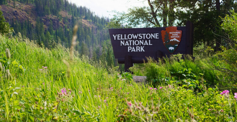 Tips for a Successful Yellowstone Family Trip!